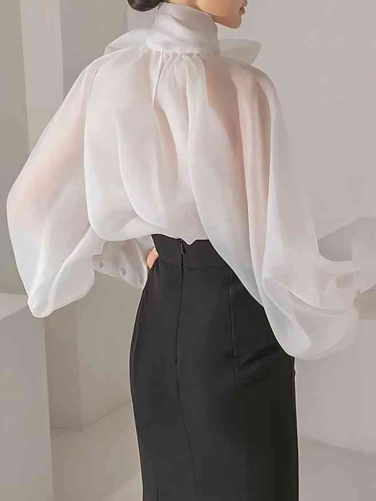 Women's Elegant Lantern Sleeve - Street Fashion Necklace ulasan dan harga
